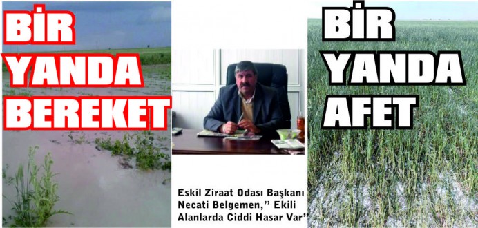 Belgemen,” Ekili Alanlarda Ciddi Hasar Var”