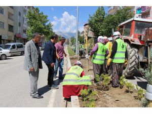 Başkan Tutal, kaldırım ve peyzaj düzenleme çalışmalarını inceledi