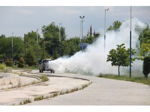 Beyşehir’de sinekle mücadele çalışmaları sürüyor