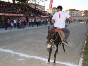 Akşehir’de eşeğe binme ve en güzel gözlü eşek yarışları yapıldı