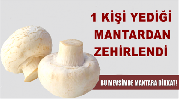 Eskil'de mantardan zehirlenen vatandaşın durumu ağır!