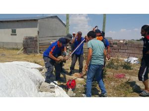 7 metrelik kuyuya düşen yavru köpek AFAD tarafından kurtarıldı