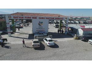 Aksaray’da Hayvan Park Yeri ve Canlı Hayvan Borsası Arife Gününe Kadar Açık