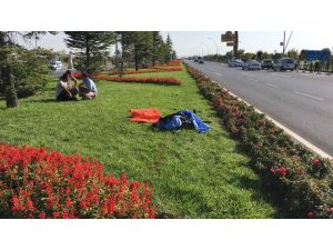 Refüjdeki çiçekleri sulamak isterken otomobilin çarpması sonucu öldü