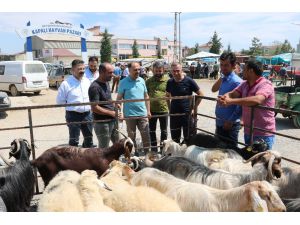 Başkan Özaltun, hayvan pazarını ziyaret etti