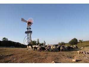 Hayvanların su ihtiyacı güneş ve rüzgar enerjisinden