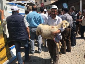 Derbent’te küçükbaş hayvan desteği