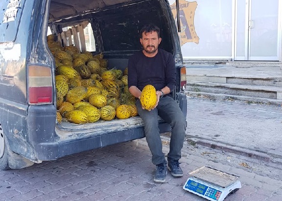 Eskil'in yerli kavunu ilgi görüyor