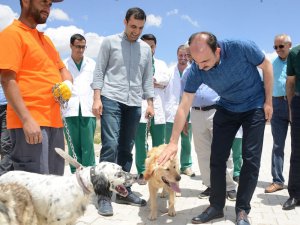 Konya’da hayvanlar için örnek projeler