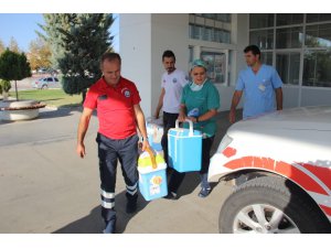 Şehit polisin organları 3 kişiye umut olacak