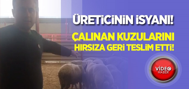 Kuzuları hırsızlara geri teslim eden Veteriner Hekimi'nin isyanı!