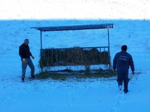 Konya’da yaban hayvanlarına yem bırakıldı