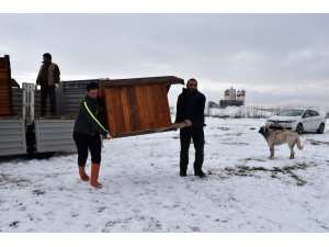 Konya’da sokak köpeklerine sıcak yuva