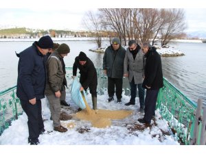 Seydişehir’de kuşlar ve yaban hayvanlarına yem bırakıldı