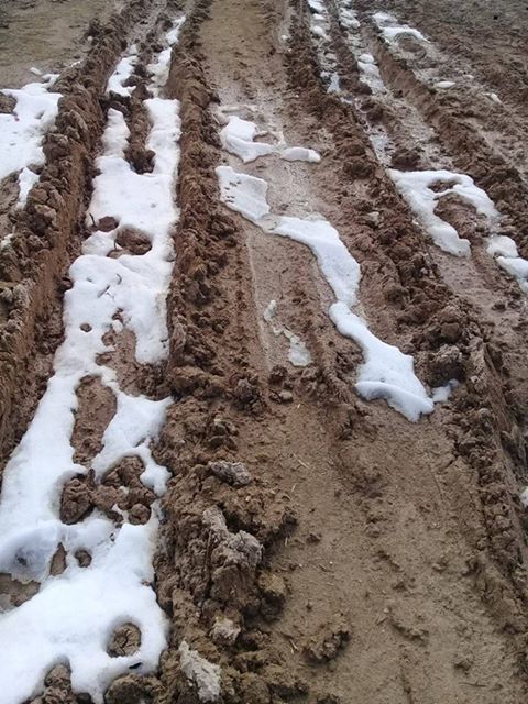 Eskilli vatandaştan tepki, "Bir yolu açmak bu kadar zor mu?"