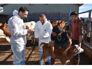 Aksaray’da üreticiler hayvan hastalıkları konusunda bilgilendirildi