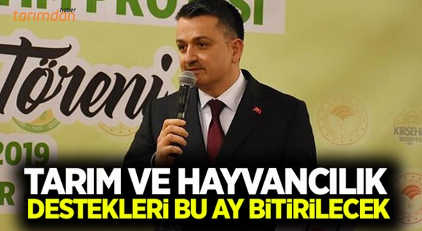 Tarım ve hayvancılık destekleri bu ay ödenecek