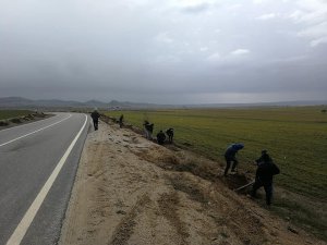 Aksaray'da İl Özel İdaresi Desteğiyle 500 Adet Ağaç Dikildi