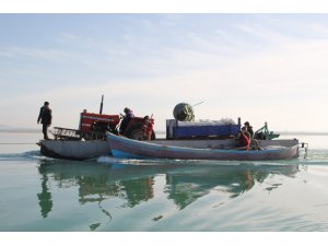 Beyşehir Gölü’ndeki Çeçen Adası’nda ekim mesaisi