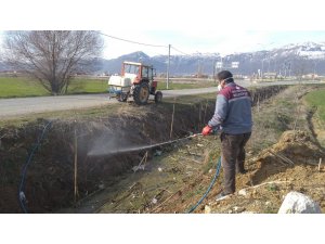 Seydişehir Belediyesinden larva mücadelesi