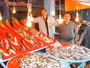 Hamsinin fiyatı tavan yaptı