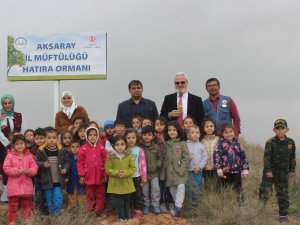 Aksaray İl Müftülüğü Hatıra Ormanı