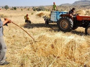 Mart 2019,Tarım Ürünleri Üretici Fiyat Endeksi