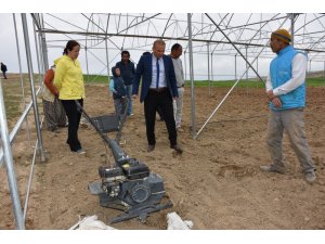 Aksaray’da Tarım ve Orman Müdürlüğü ekipleri seralarda incelemede bulundu