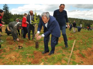 Başkan Akkaya, fidan dikim programına katıldı