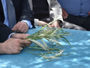 Aksaray’da zarar tespitleri yapılıyor