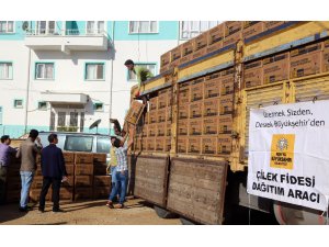 Konya Büyükşehir Belediyesinden çilek üreticisine destek