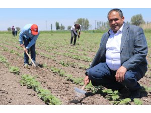 Başkan Koçak: “Ülkemiz için üretmeye devam edeceğiz”