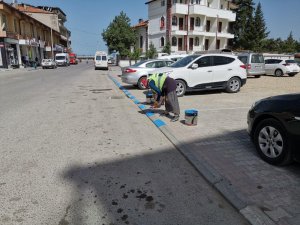 Beyşehir’in caddeleri göl mavisi renklere bürünüyor