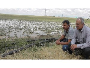 Kulu’da dolu yağışı sonrası hasar tespiti yapıldı