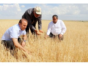 Aksaray’da tarım arazilerini dolu vurdu