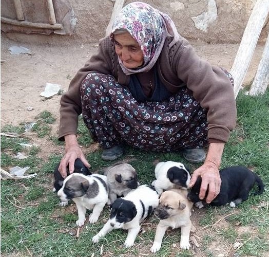 Yoğun bakım ünitesindeki "Merhamet Anne" sevenlerinden dua bekliyor