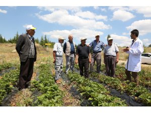 Tarımsal eğitimlerle çiftçiye katkı sağlanıyor