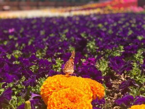 Selçuklu’da fotoğraf yarışması sonuçlandı