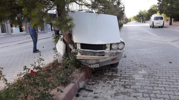 Eskil'de şoförün dikkati bir can kurtardı!