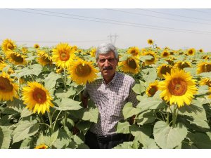 Mazot, gübre ve ürün prim desteği kaldırılıyor