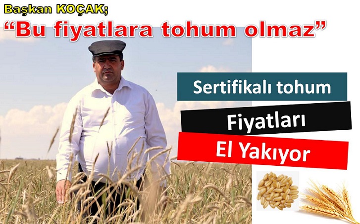 Sertifikalı tohum fiyatları el yakıyor!