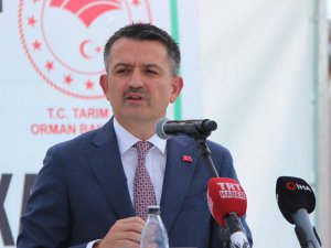 Bakan Pakdemirli: "Pancar şekeri satışında 2018 - 2019 yılında yüzde 14 artış sağlandı"