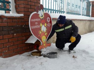 Meram Belediyesi’nden kuşlara yem!