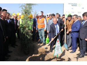 Aksaray’da "Geleceğe Nefes" sloganıyla 90 bin fidan toprakla buluşturuldu