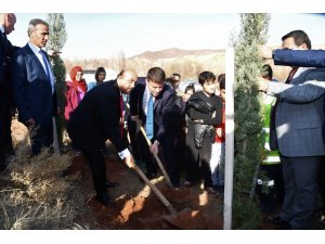 Aksaray Belediyesi öğretmenler adına 5 bin fidan dikti