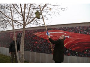 ASÜ’de ağaçlara kuşlar için yuva yerleştirildi