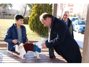 Ereğli Belediyesi sokak hayvanlarına kucak açıyor