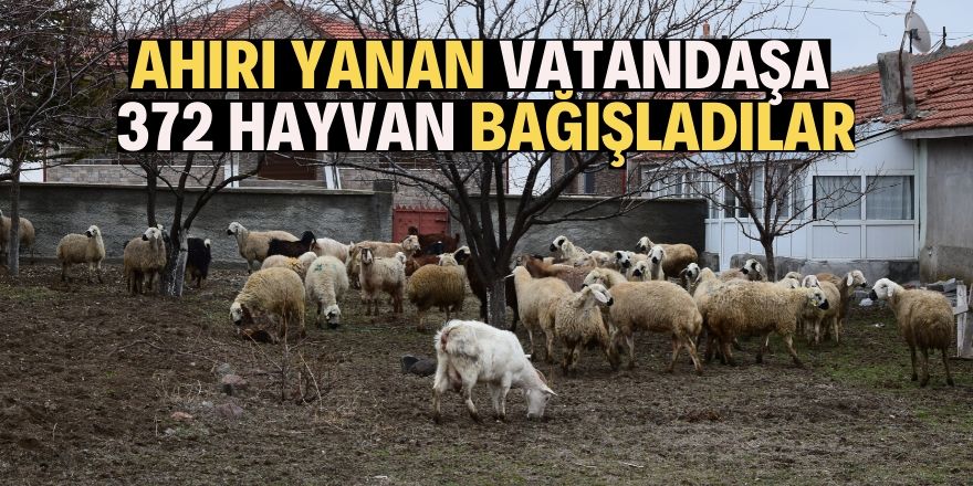 240 hayvanı telef olan üreticiye 372 havyan topladılar