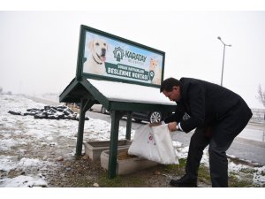 Karatay Belediyesi sokak hayvanlarını unutmuyor