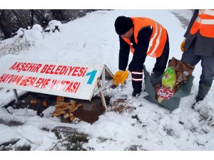 Akşehir Belediyesi hayvanları unutmadı